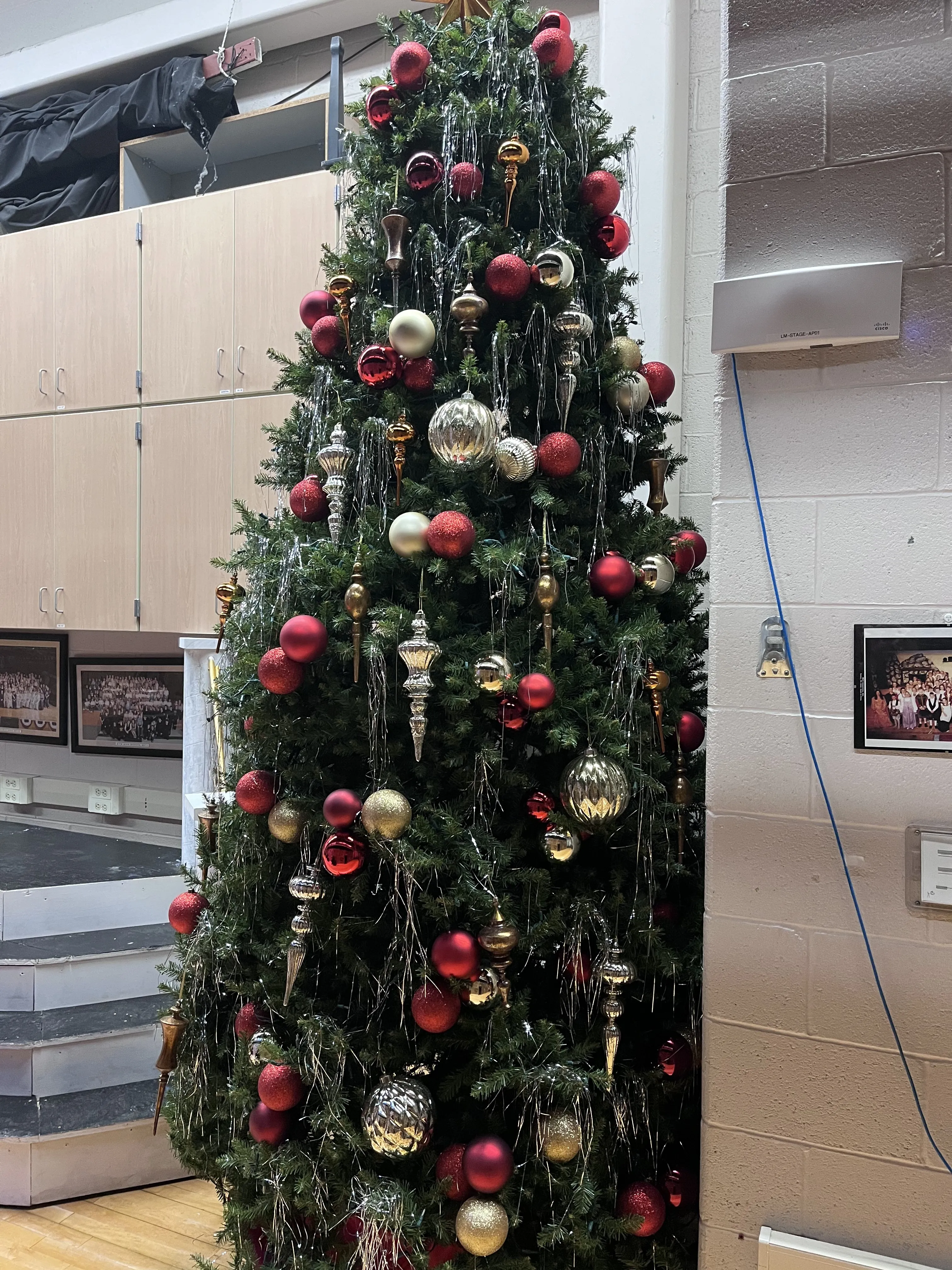 The 12-foot Christmas tree on its rolling platform