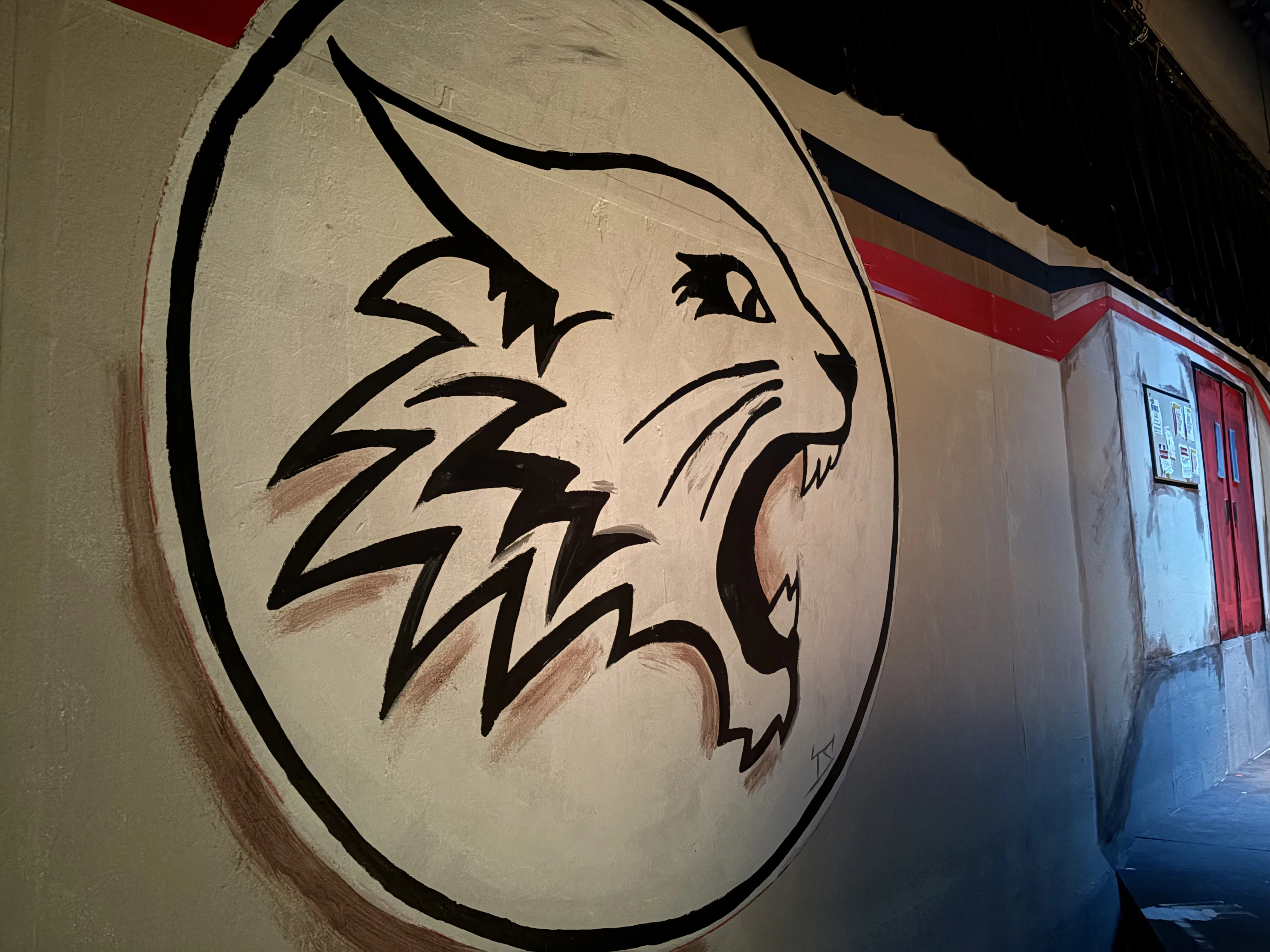 The Wildcat mascot mural painted by Tim Sidorik